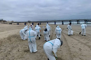 На Кубани упразднят должность обматерившего волонтёров чиновника