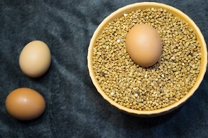 Российские ретейлеры перечислили самые подешевевшие за 2024 год продукты