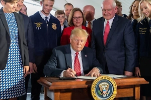 «Скажите тарифам «привет»: Трамп снова принялся угрожать БРИКС из-за опасений за доллар