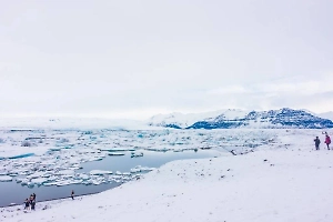 В Госдепе раскрыли, почему Трамп так хочет заполучить Гренландию 