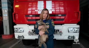 Выполняют важную задачу: В МЧС рассказали о проходящих службу животных