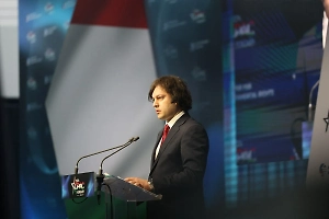 Премьер Грузии обвинил иностранные спецслужбы в организации протестов в Тбилиси