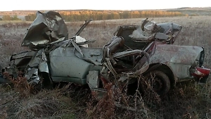 Двое 17-летних подростков погибли в ДТП с лошадью в Башкортостане
