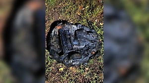 В Курской области робот-пылесос «выгорел» на работе и чуть не спалил дом