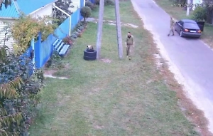 На Украине ушлые военкомы силой «мобилизовали» сбежавшего от хозяйки кота