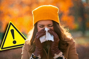 Чихаете в октябре? Это не простуда, а аллергия. Чем спасаться