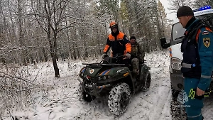 Под Красноярском 356 человек ищут пропавшую семью