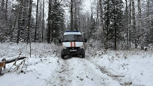 Спасатели обследовали 229 км дорог в поисках семьи Усольцевых под Красноярском