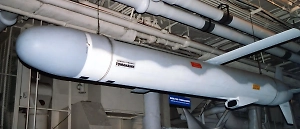 «К счастью, не дадут»: Партия Зеленского надеется на отказ в передаче «Томагавков»