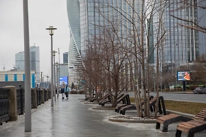 Синоптик раскрыл, когда в Москву нагрянут заморозки