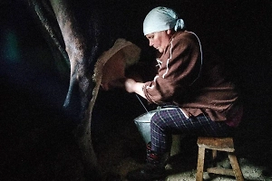 Филимонов: Вологодчина угощает туристов кирилловским лимонадом, маслом и чёрной икрой