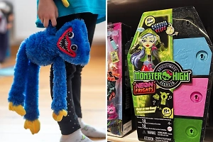 В Госдуме обсудили борьбу с «синим чудовищем с улыбкой» и «гробиками»