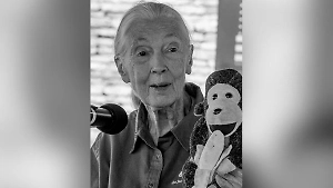 Умерла знаменитая приматолог Джейн Гудолл, боровшаяся за права шимпанзе