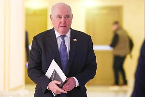 Сенатор Карасин считает, что встреча в Берлине может затруднить мирный процесс