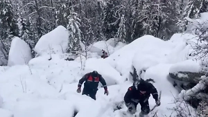 Пропавшую в тайге семью Усольцевых могло спасти укрытие с запасом продуктов