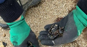 Развожаев: На нескольких пляжах Севастополя обнаружены точечные пятна мазута