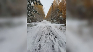 Телепорт в зиму: Российский город за ночь засыпало октябрьским снегом