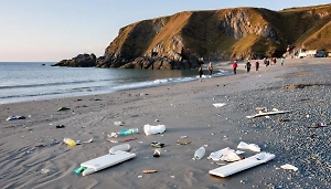 Мощный «шторм любви» оставил после себя целый пляж секс-игрушек