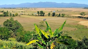 Посольство РФ в Таиланде освободило четырёх россиян из рабства в Мьянме