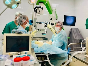 Учёные испытывают первый российский раствор для сохранения донорских органов