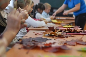 Депутат Буцкая сравнила поделки с маркетплейсов с сочинениями от ИИ