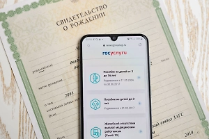 В России упростили подтверждение гражданства для детей через «Госуслуги»
