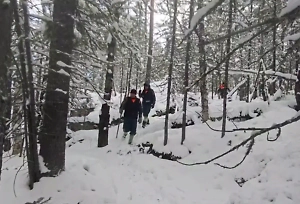 Суровое испытание: Что такое «место силы», где две недели ищут пропавшую семью Усольцевых