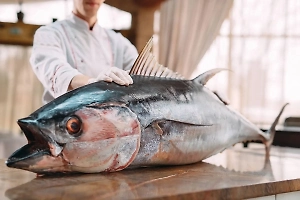 Минрыбы Сахалина подтвердило вылов тунца-гиганта весом почти 300 кг