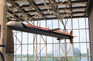 Политолог объяснил, почему даже 50 Tomahawk не смогут нанести ущерба России