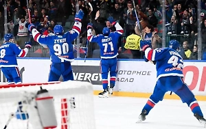 Судьи отменили два гола СКА в игре КХЛ с «Нефтехимиком» после видеопросмотров