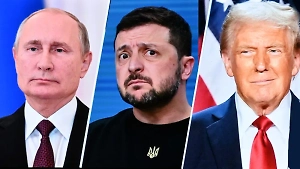 «Вернётся несолоно хлебавши»: В СФ предрекли итог визита Зеленского в США после беседы Трампа и Путина