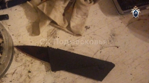 В Подольске 39-летний ревнивец перепил и насмерть зарезал сожительницу