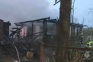 Мать и трое детей погибли при пожаре в Ленинградской области