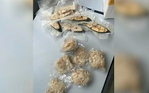 Сырое мясо медуз и рыбу изъяли таможенники у пассажира из Вьетнама в аэропорту Иркутска