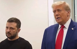 Рогов: Позиция Зеленского по выводу ВСУ из Донбасса раздражает Трампа