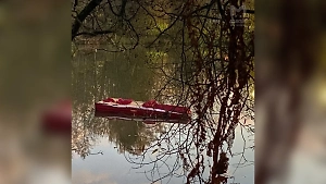 Жителей Ленинградской области шокировал плавающий гроб в озере