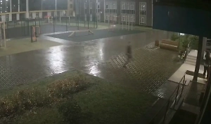 Не успела скрыться в подъезде: В Казани неизвестный избил и похитил девушку