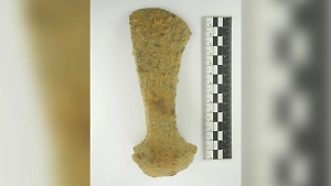 В Ярославской области археологи нашли 1000-летний топор
