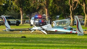 Самолёт сбил человека при экстренной посадке в США