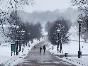 Стало известно, когда в Москве выпадет первый «серьёзный» снег