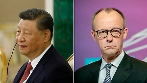 Die Welt: Си Цзиньпин не нашёл времени для приёма Мерца в Китае