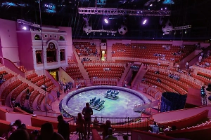 Унесли на носилках: Шокированный зритель снял на видео падение гимнаста в Казанском цирке