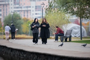 Россиянам рассказали об изменениях в налогах, ОСАГО и связи в ноябре