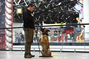 Временные ограничения на полёты введены в аэропорту Пскова, в Краснодаре сняты