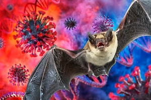 Опять летучие мыши: В Бразилии нашли вирус, похожий на COVID. Что о нём известно?