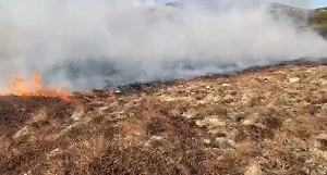 Пожар на острове Недоразумения разгорается с новой силой из-за упущения огнеборцев