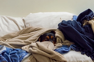 Модная у зумеров «картофельная» кровать превратит вашу спину в руины — ортопед объяснил, почему