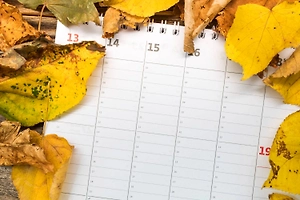 Эзотерик перечислила самые благоприятные и неблагоприятные дни ноября