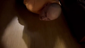 Жителю Петербурга дали 5,5 года тюрьмы за одобрение деятельности РДК*