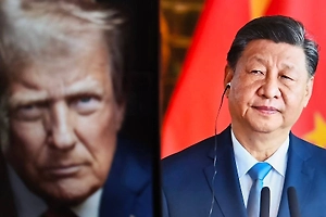 Украина не стала главной темой переговоров Трампа и Си Цзиньпина, заявили в Госдуме